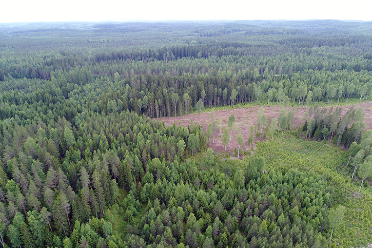 Karelia Metsäpalvelu Oy | Osuva yrityspörssi